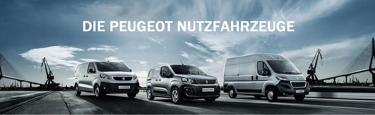 Peugeot Nutz
