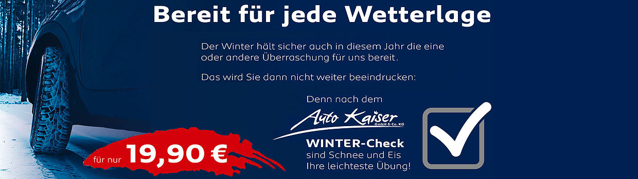 Auto Kaiser Winter-Check